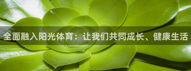 vsport体育在线官网