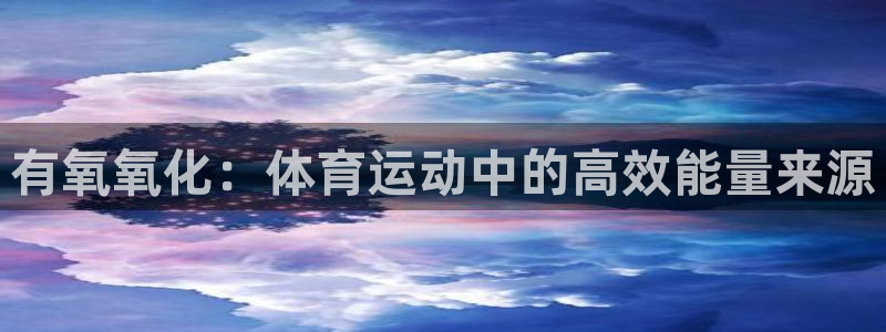 vsport体育