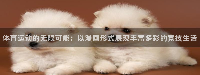 vsport体育在线官网