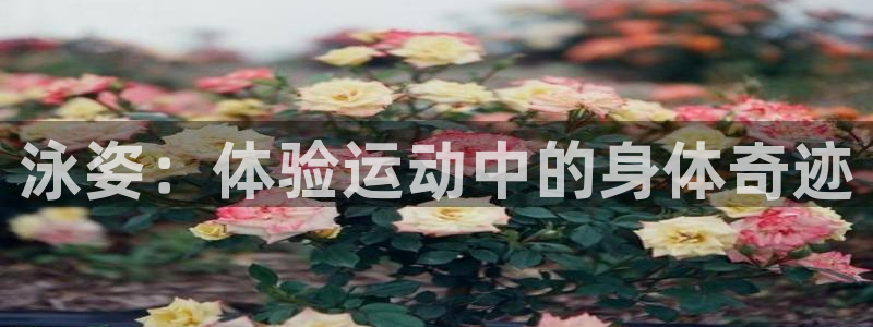 vsport体育在线官网