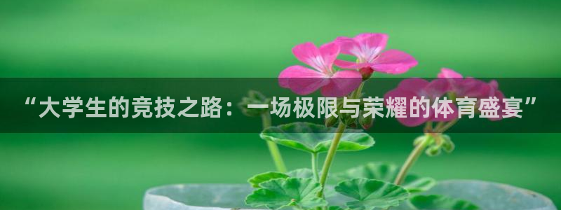 vsport体育在线官网