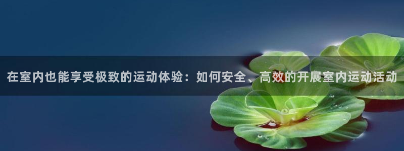 vsport体育在线官网