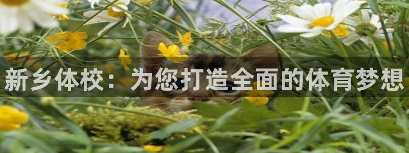 vsport体育在线官网
