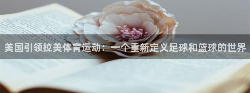 vsport体育在线官网